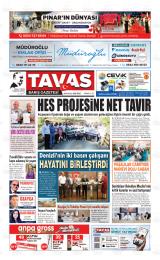TAVAS BARIŞ