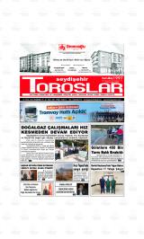 SEYDİŞEHİR TOROSLAR