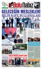 BOLU NABIZ
