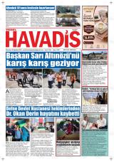 YEREL HAVADİS