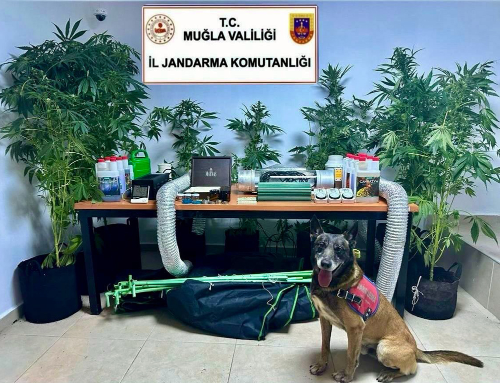 Jandarma uyuşturucu imalathanesi evi bastı 1 kişi yakalandı