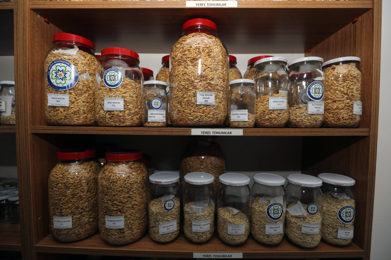 Muğla’da 22 milyon yerel tohum toprakla buluştu