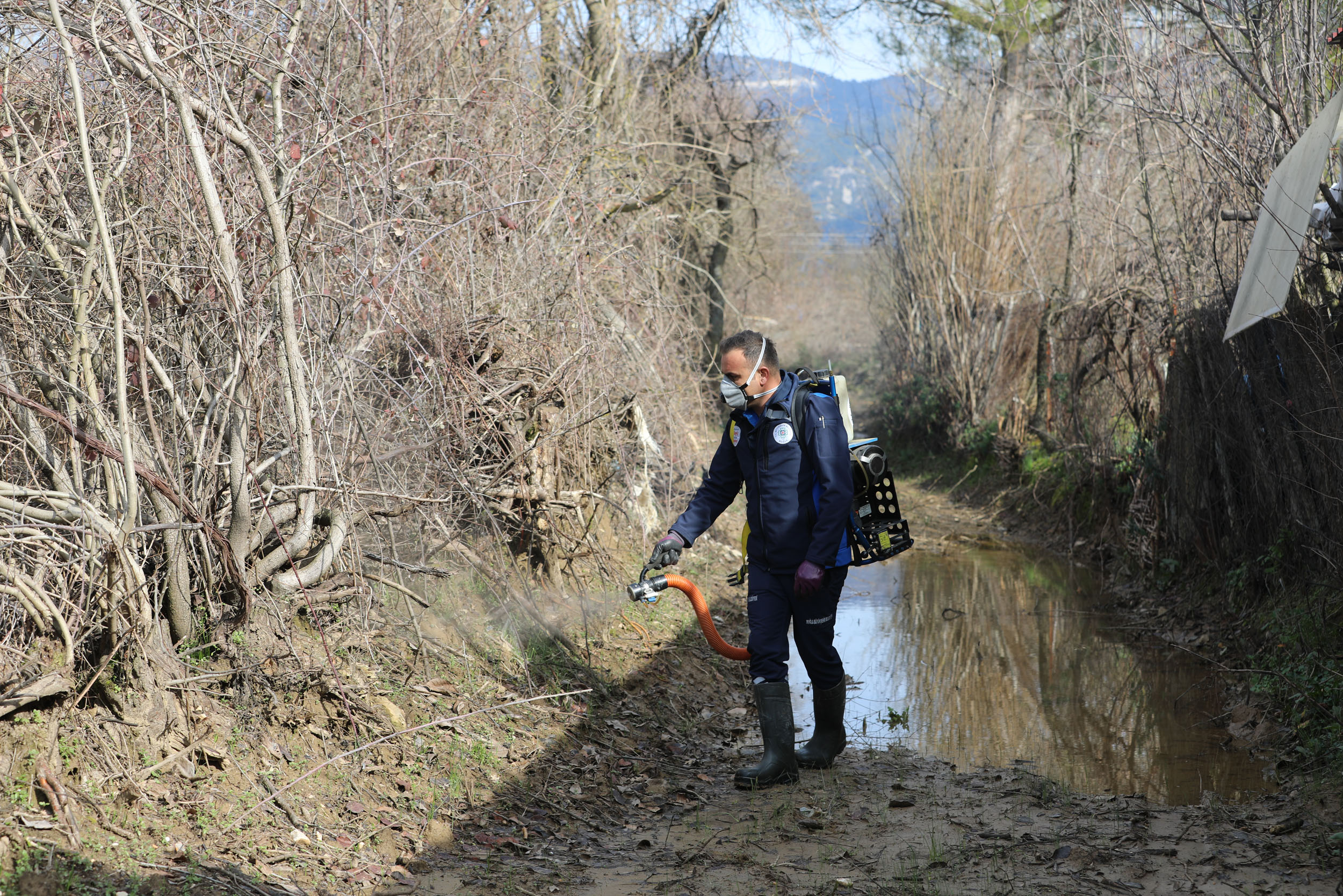Muğla’dan 13 ilçede vektörle mücadele