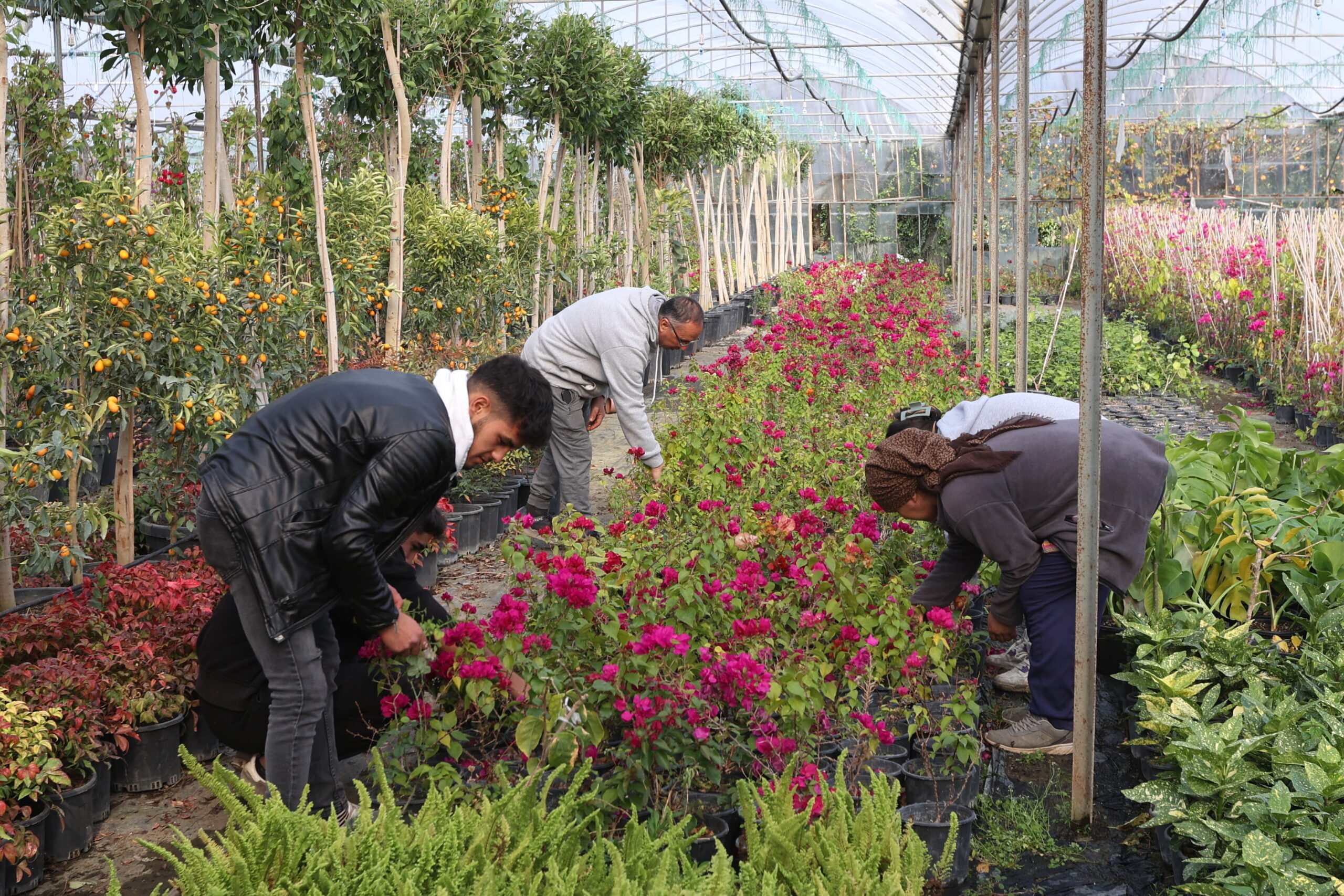 Muğla Büyükşehir Belediyesi’nden yerel kalkınma atağı
