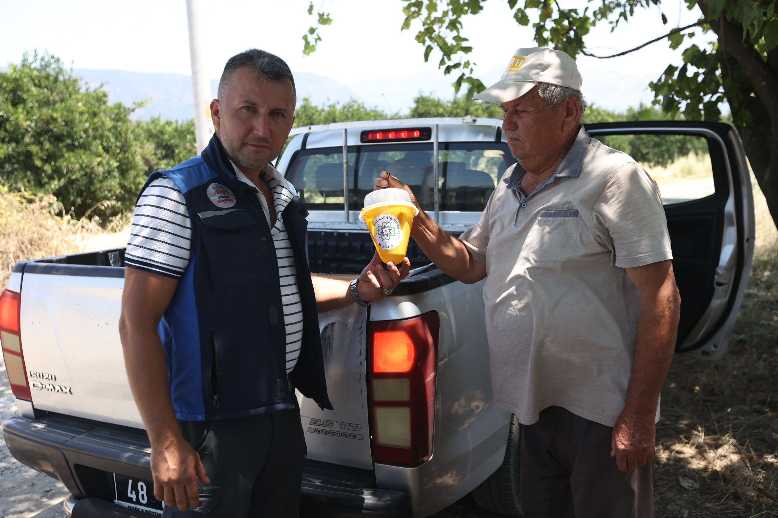 Muğla  Feromon Tuzaklarla Zararlıya Karşı Doğal Mücadele Başlattı