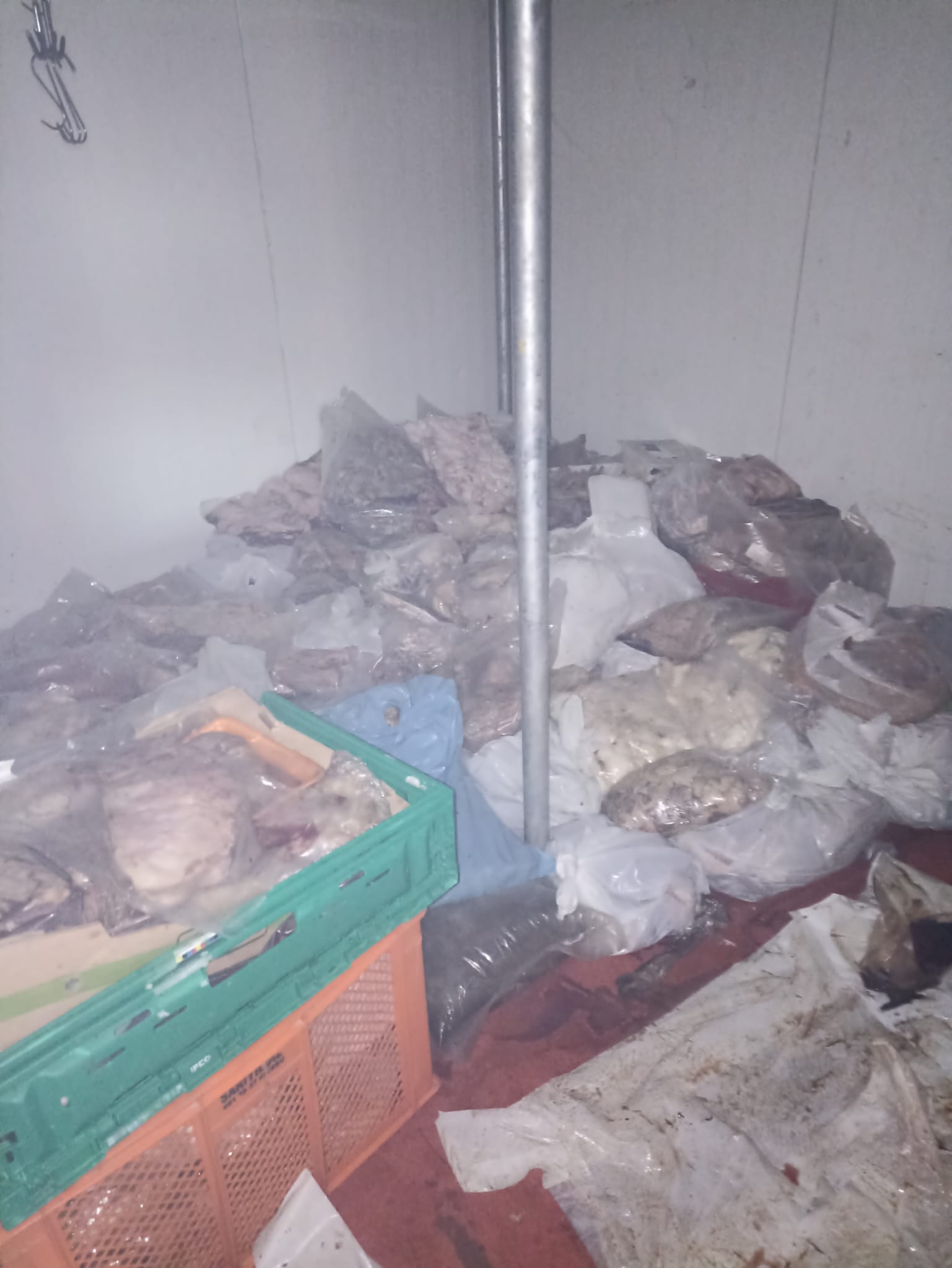 Bodrum’da 400 kilo bozuk et son anda yakalandı