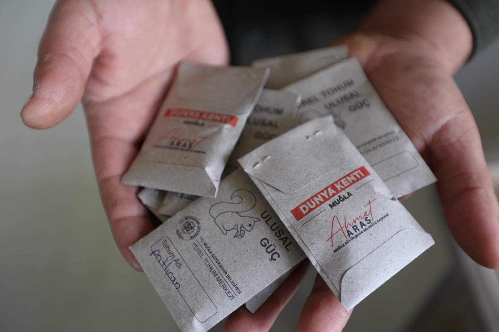 Muğla’nın ATA TOHUMLARI ülke ile buluşuyor