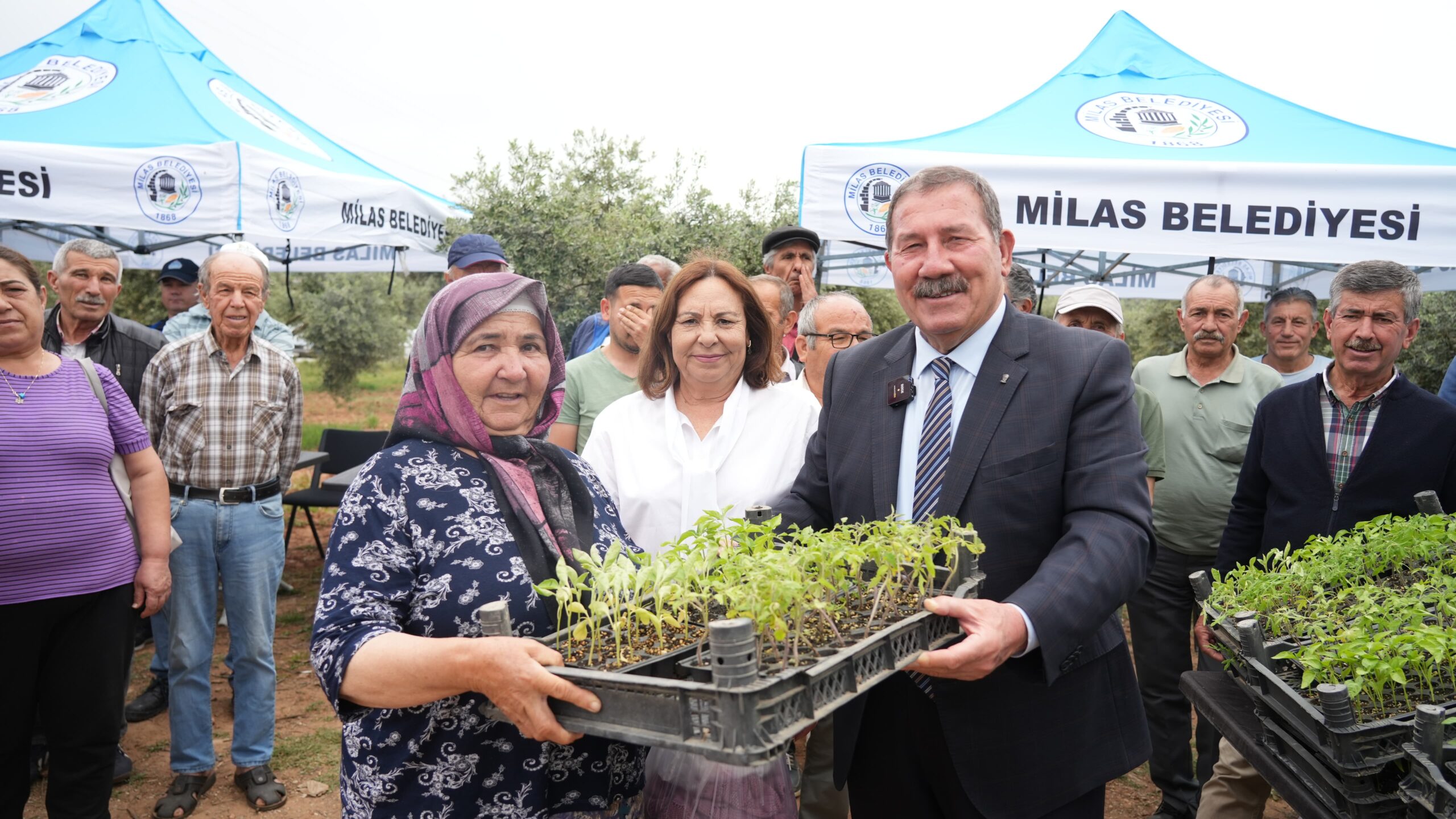 Milas Belediyesi Ata tohumlarını üreticilere dağıttı