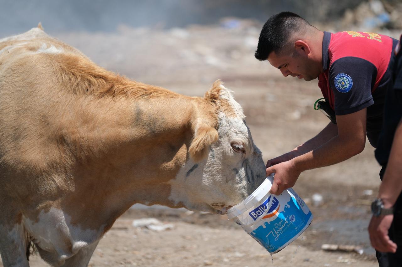 Yangın sahasında yürek ısıtan anlar
