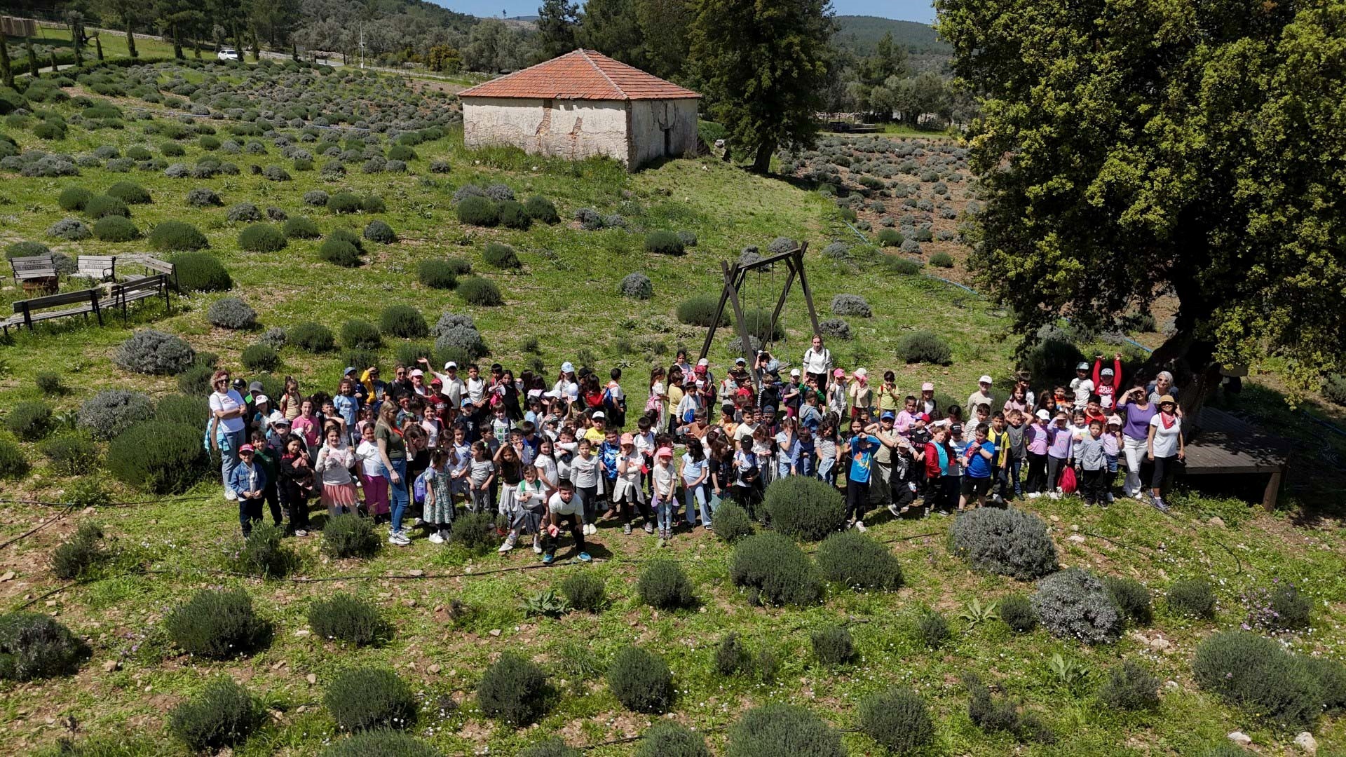 Bodrum Belediyesi minik yürekleri tarımla tanıştırdı
