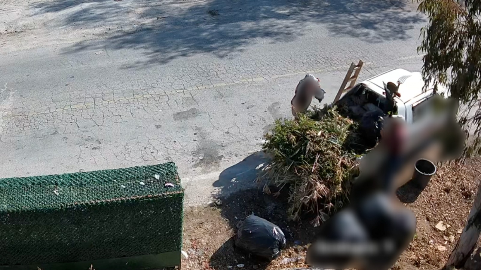 Bodrum’da çevreye kirletenlere suçüstü